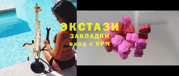 соль ск Каменка