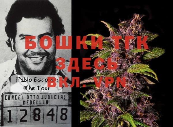 прущие крисы Карпинск